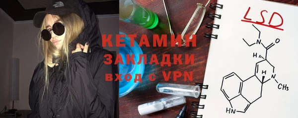 шишки Абаза