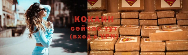 шишки Абаза