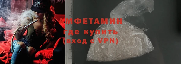 шишки Абаза