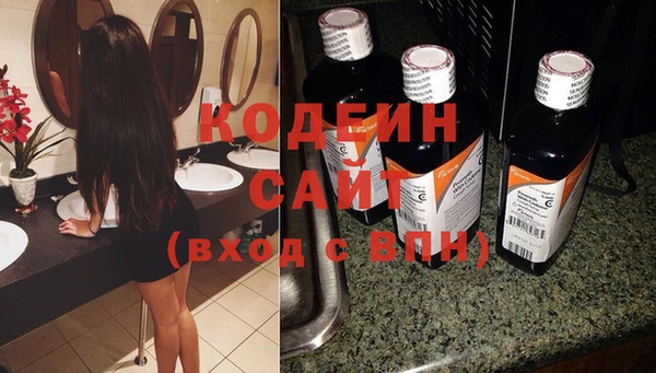 шишки Абаза