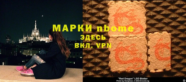 шишки Абаза
