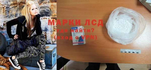 шишки Абаза