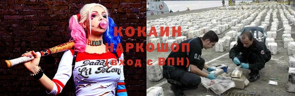 стаф Алзамай