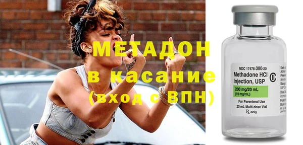 стаф Алзамай