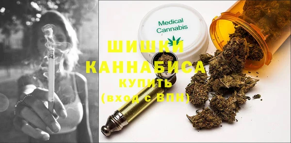 шишки Абаза